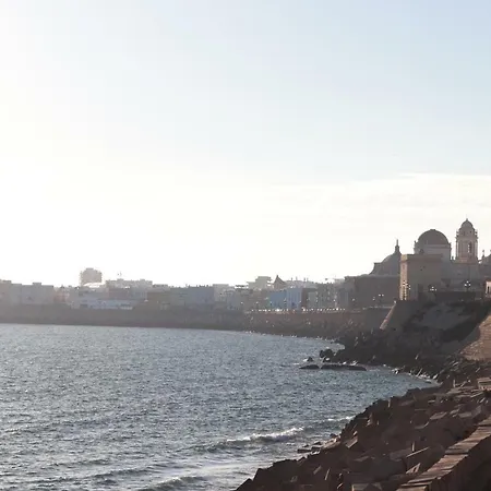 La Cebra كاديز